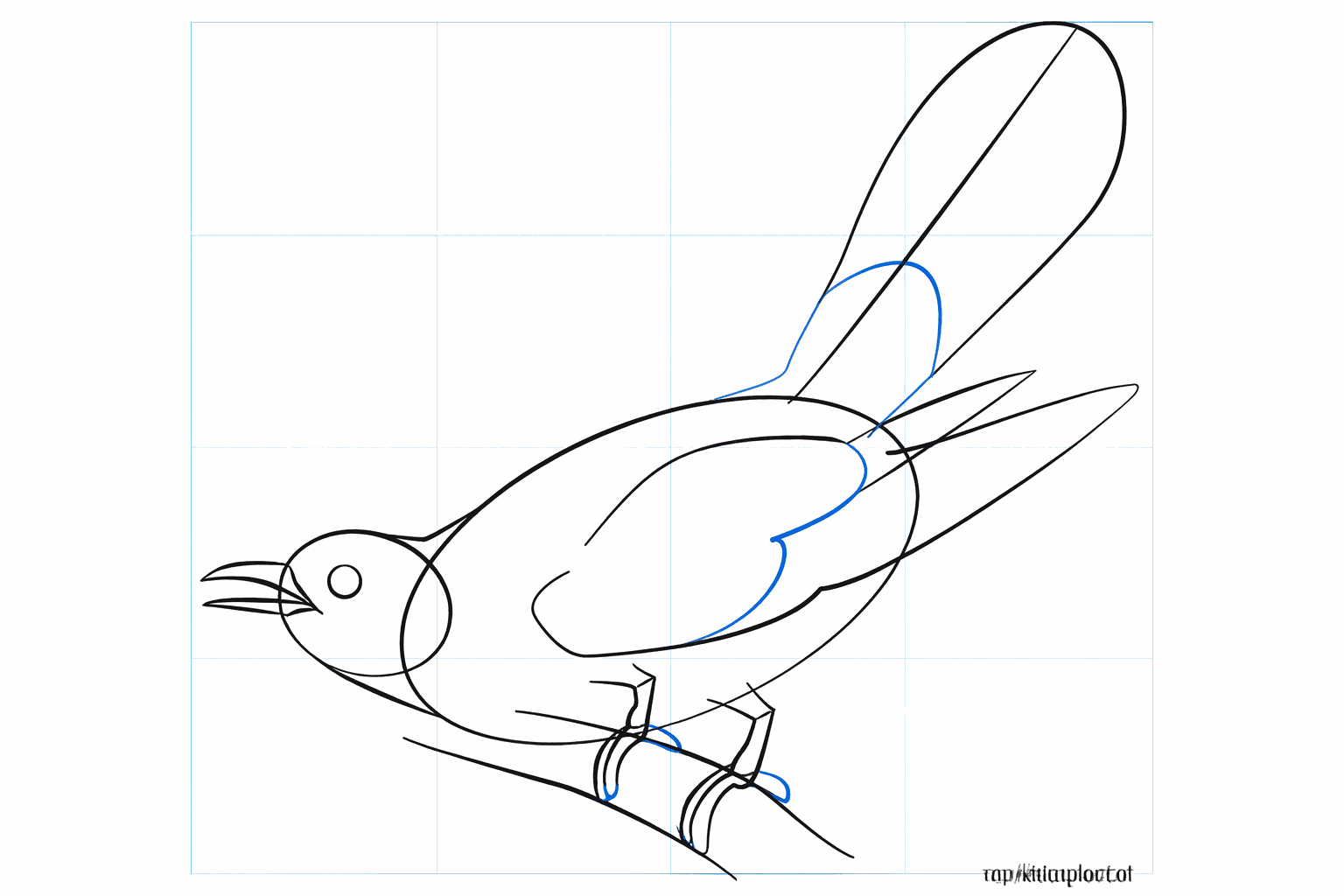 Detail of the bird's head with an eye and a sharp beak.