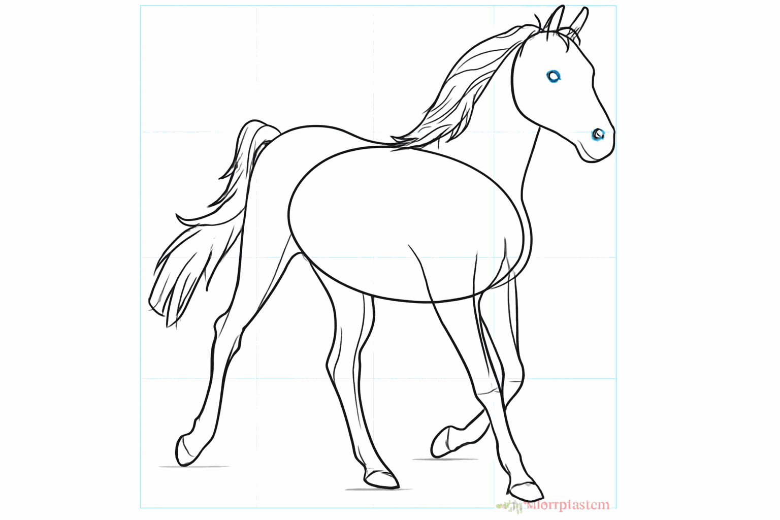 Details van het gezicht en de eerste haren van de staart.