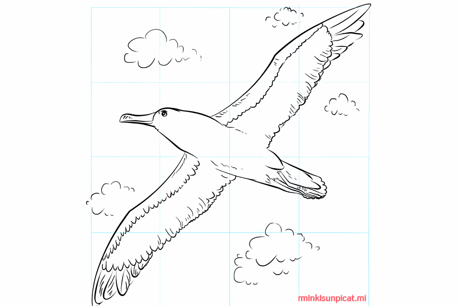 Drawing an Albatross: Step-by-Step Drawing Lesson