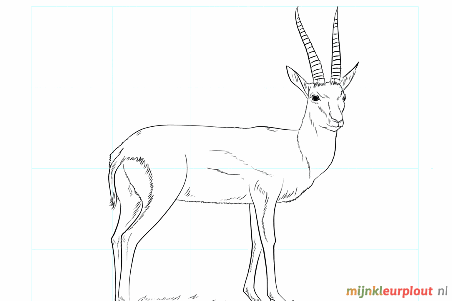 De voltooide gazelle tekening zonder hulplijnen in een graslandschap.