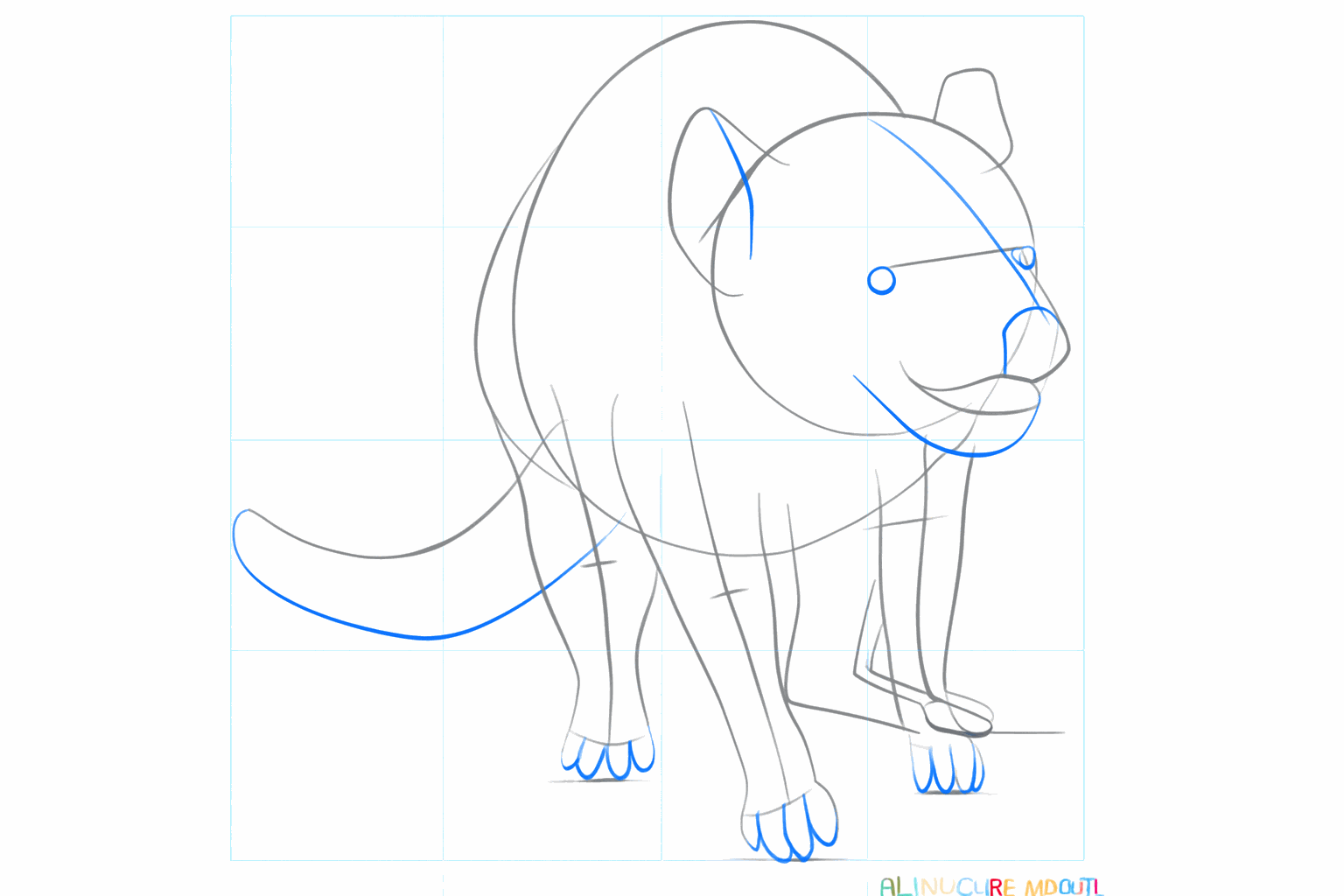 Details van de oren en de kaaklijn van de Tasmaanse Duivel.