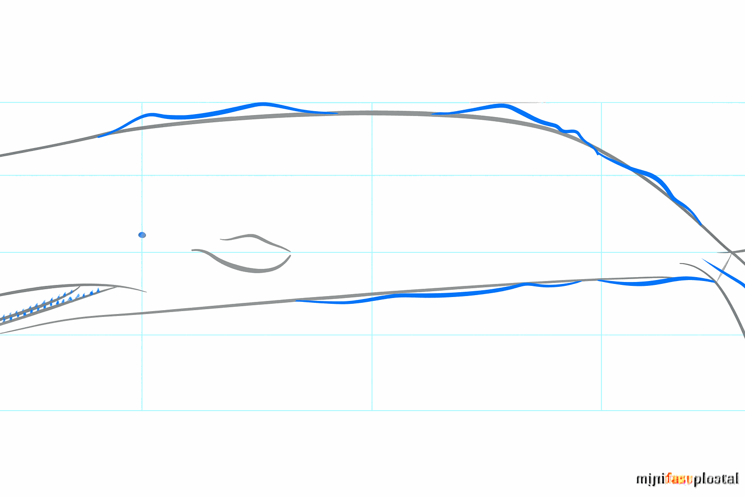 Een potvis met een oogje en details rondom de lange onderkaak.