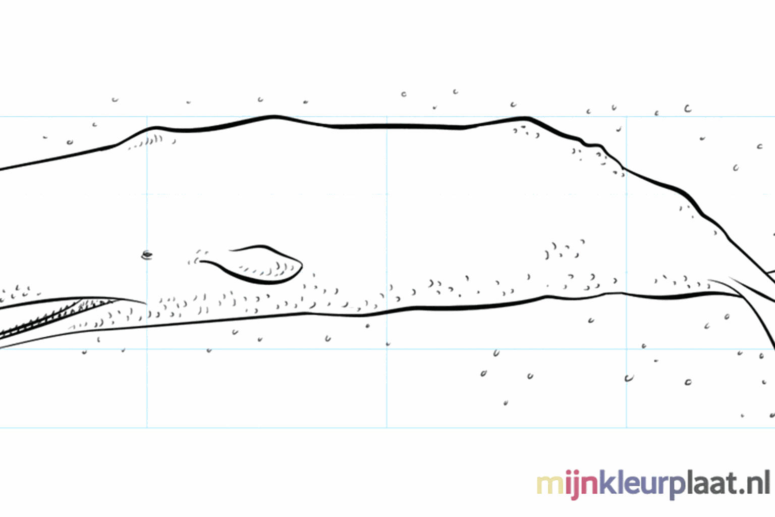 Een voltooide tekening van een potvis die in het water zwemt.