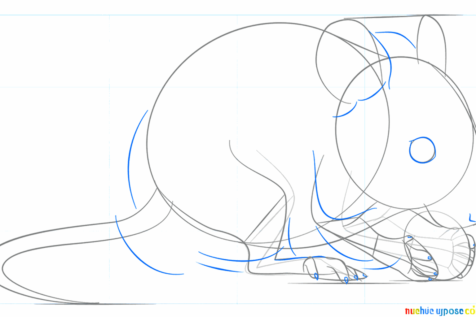 Details zoals het oog, de neus en de kleine muizentenen toevoegen.