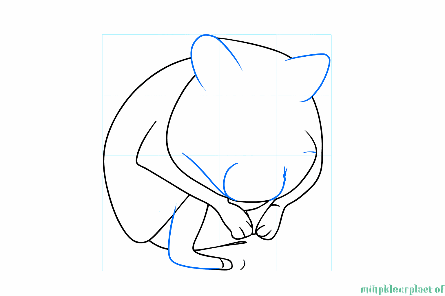 Schets van de ronde oortjes bovenop het hoofd en een klein snuitje.