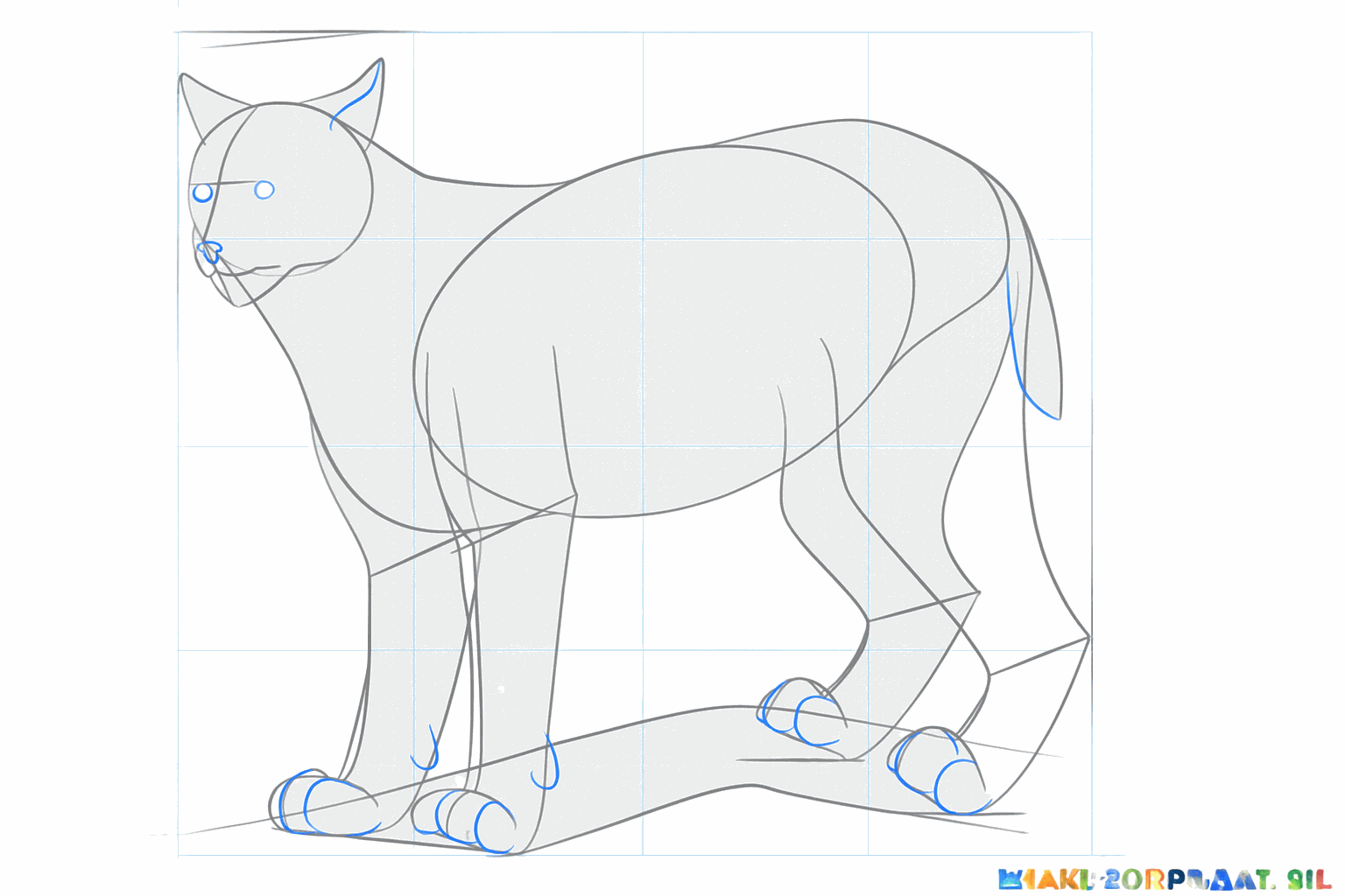 Details van het gezicht en de grote voeten van de lynx.