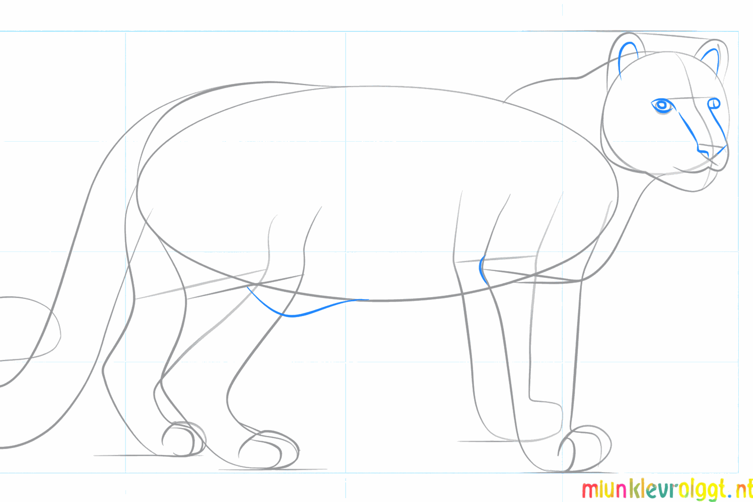 Het gezicht invullen en de staart dikker maken.