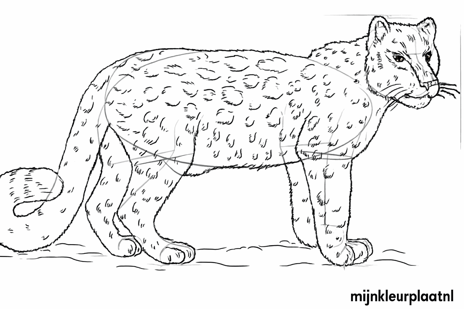 Vlekken en kleine details toevoegen aan het lichaam.