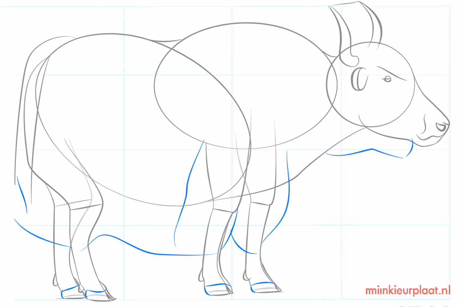 Het gezicht van de jak met ogen, een neus en een volle staart.