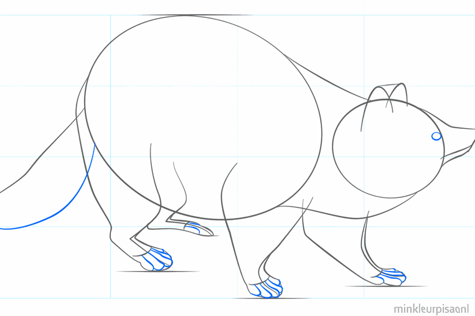 Wasbeer met een dikke staart, ronde ogen en kleine voetjes.