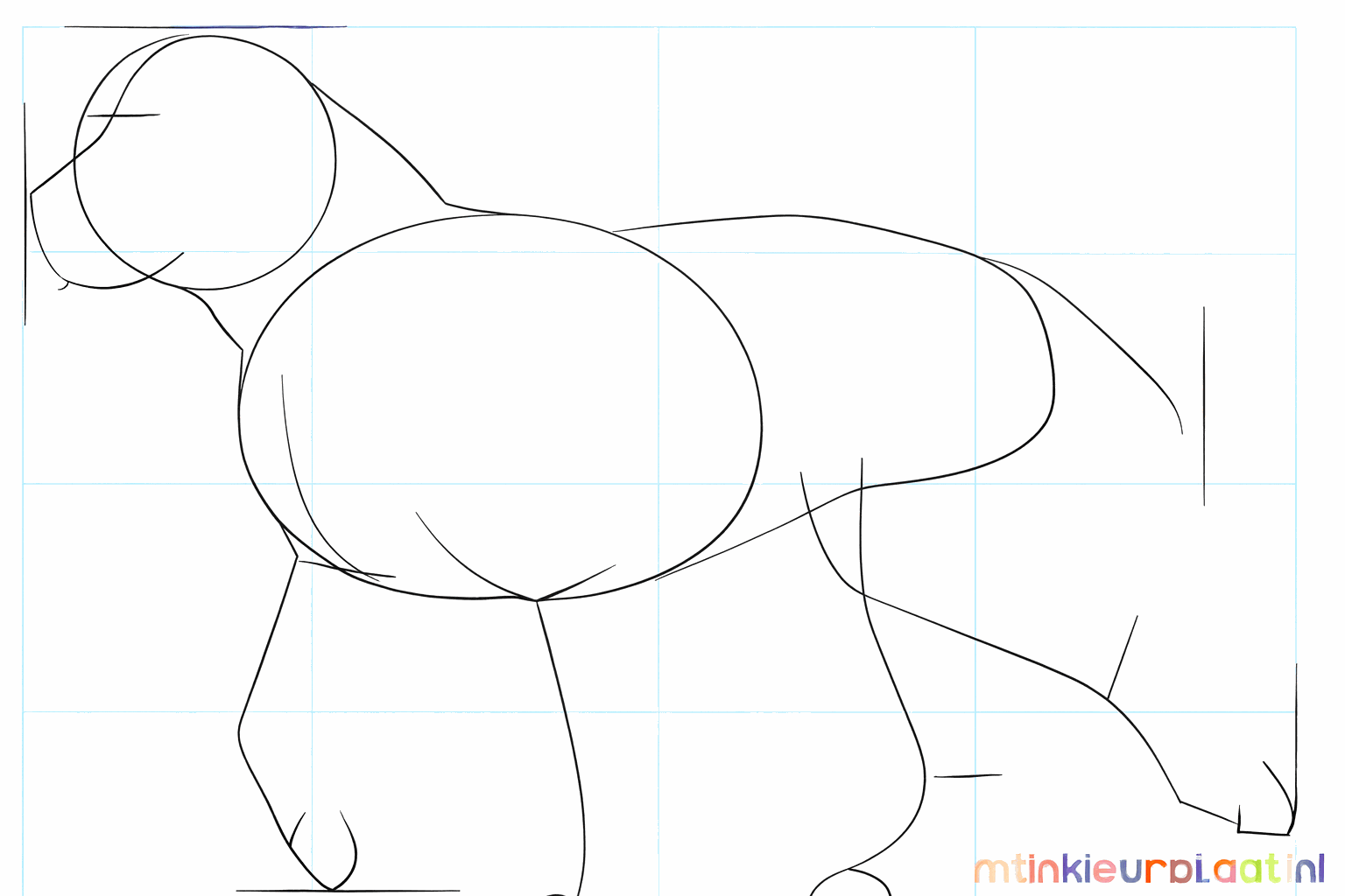 Hulplijnen voor de vier poten en de staart van de pitbull.