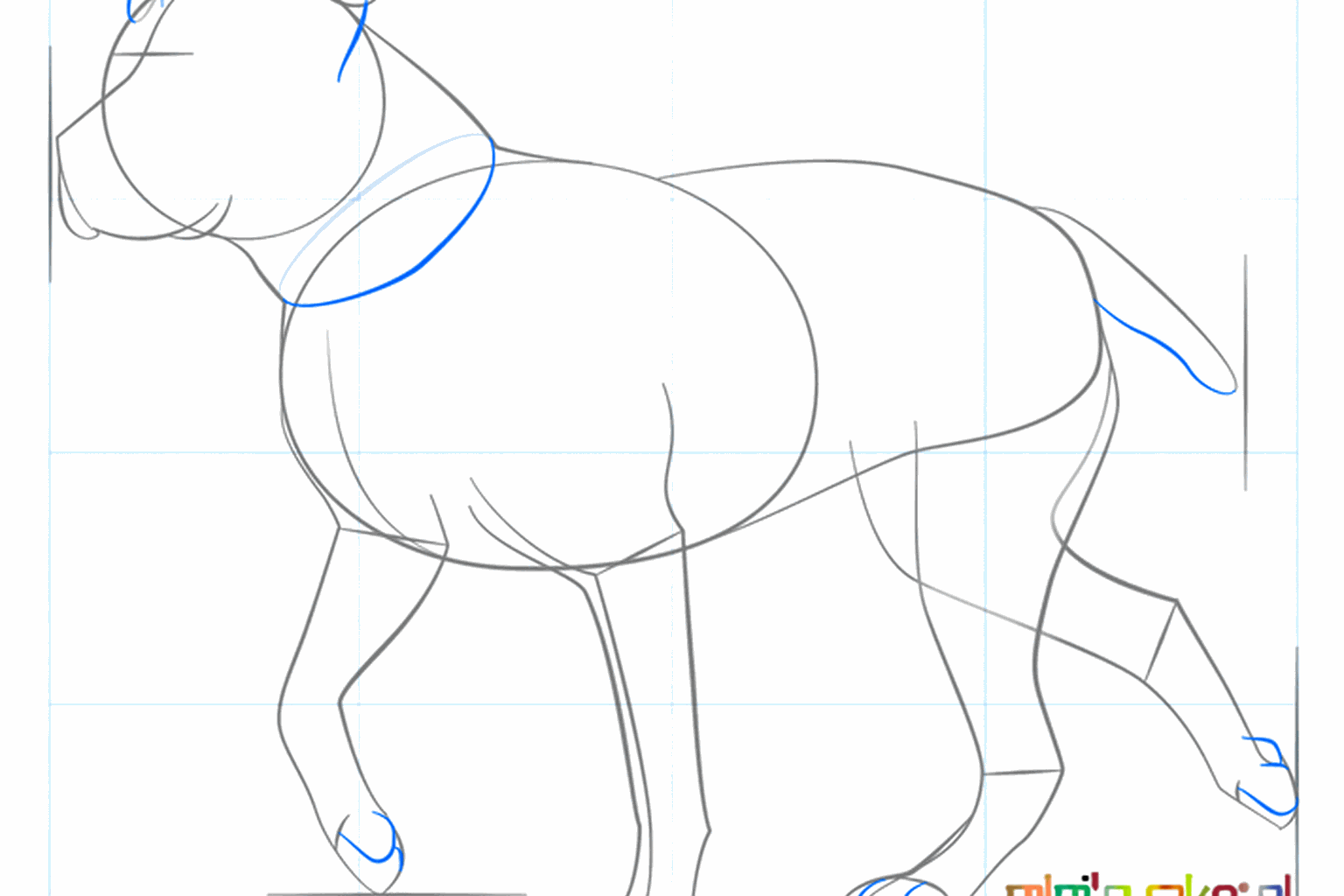 Dikkere poten en een duidelijke snuit voor de hond.