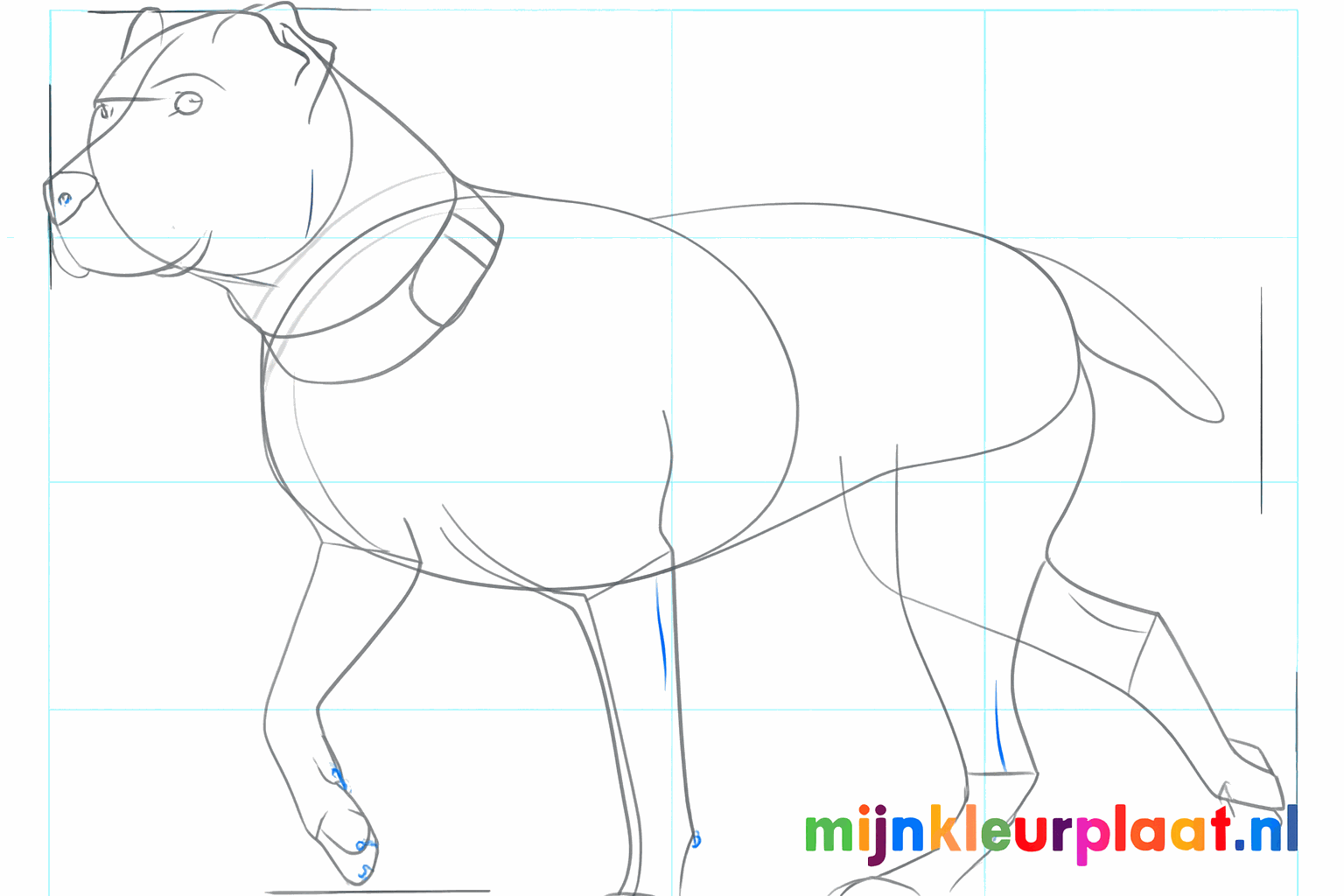 Het gezicht van de pitbull met ogen en een neus.