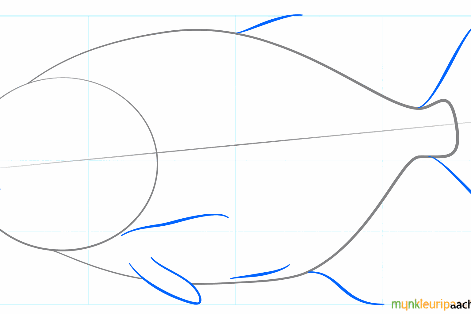 Hulplijnen voor de vinnen en de staart van de vis.