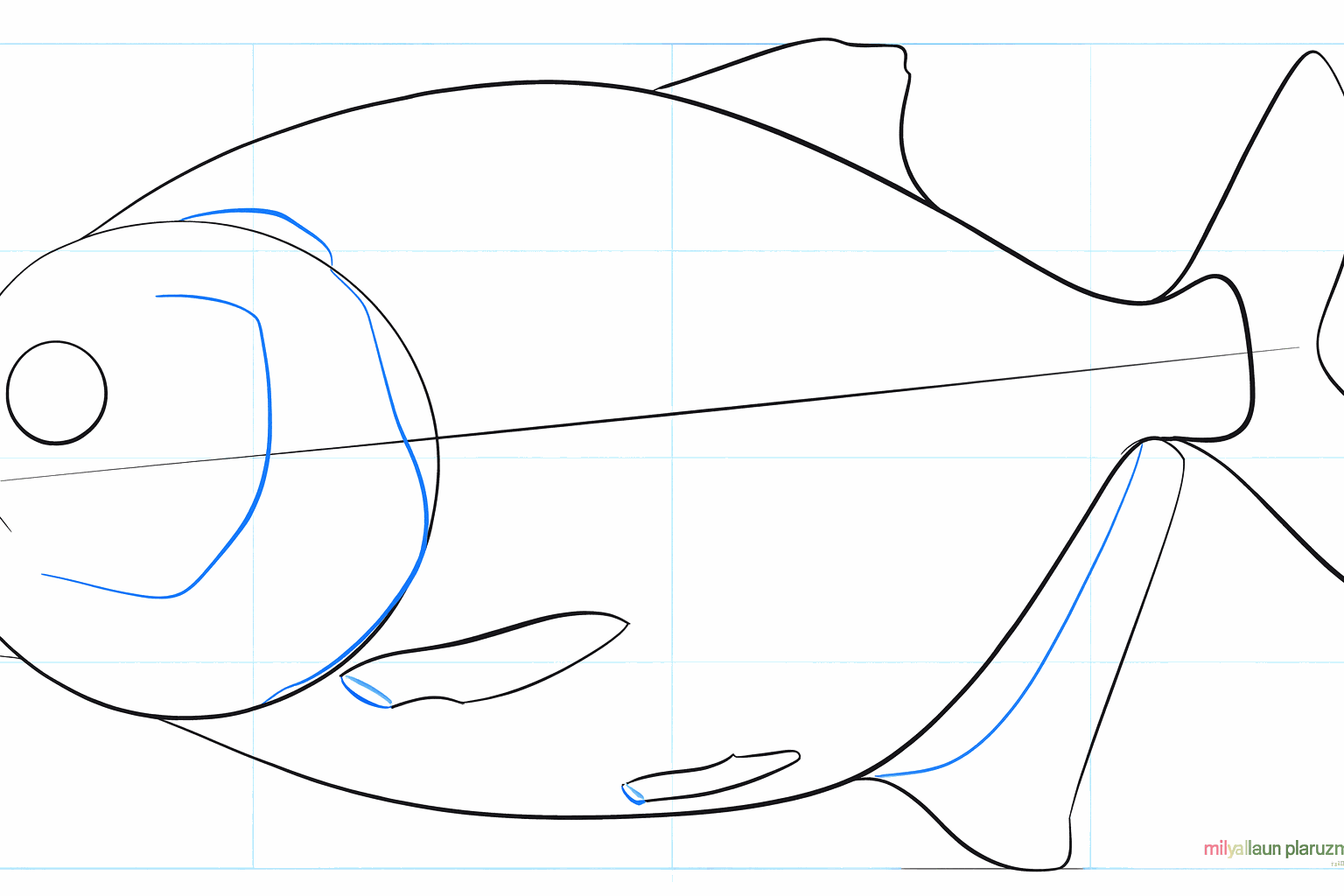 Details van de vinnen, een rond oog en de kieuwopening.