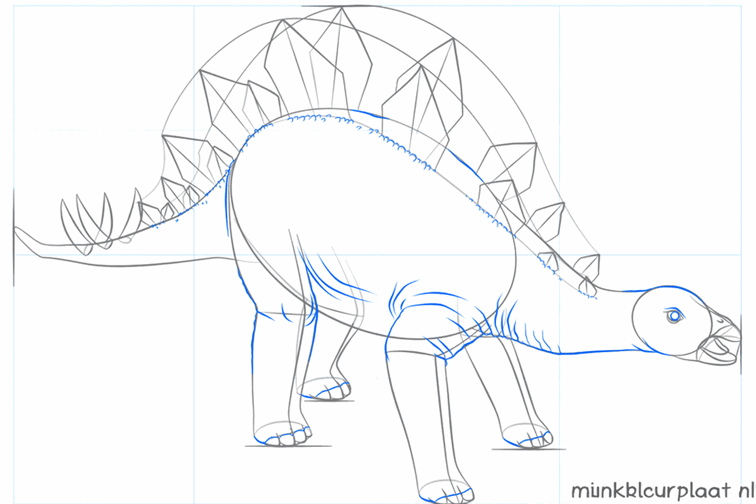 Twee rijen met grote ruitvormige platen op de rug van de dinosaurus.