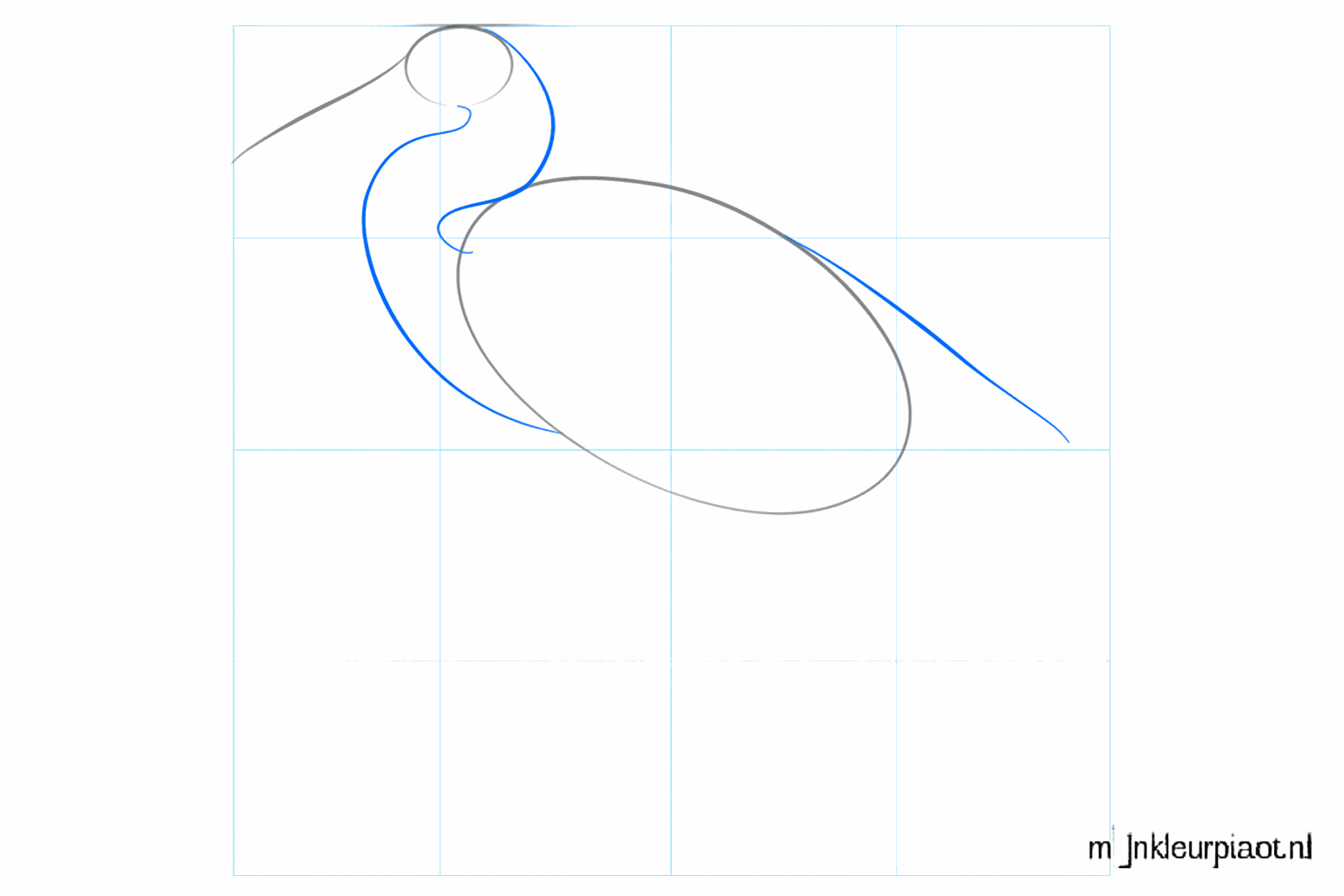 The neck and tail line connecting the head and body of the bird.