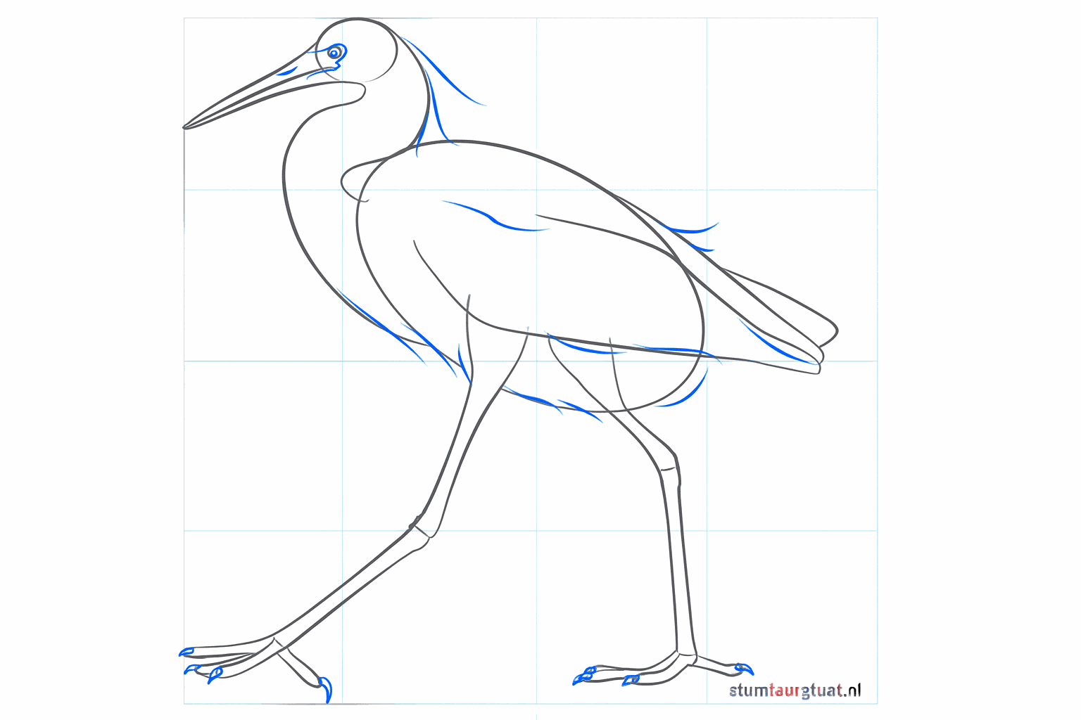 The tail and legs are further developed with clean lines.