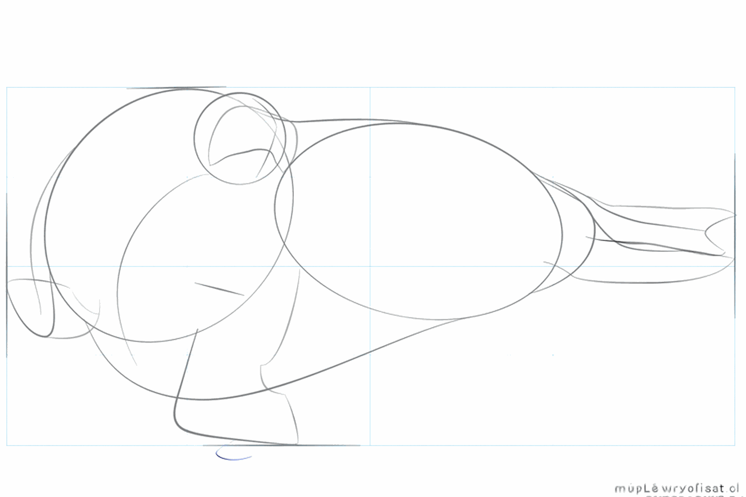 De contouren van de flippers en de dikke snuit van de walrus.