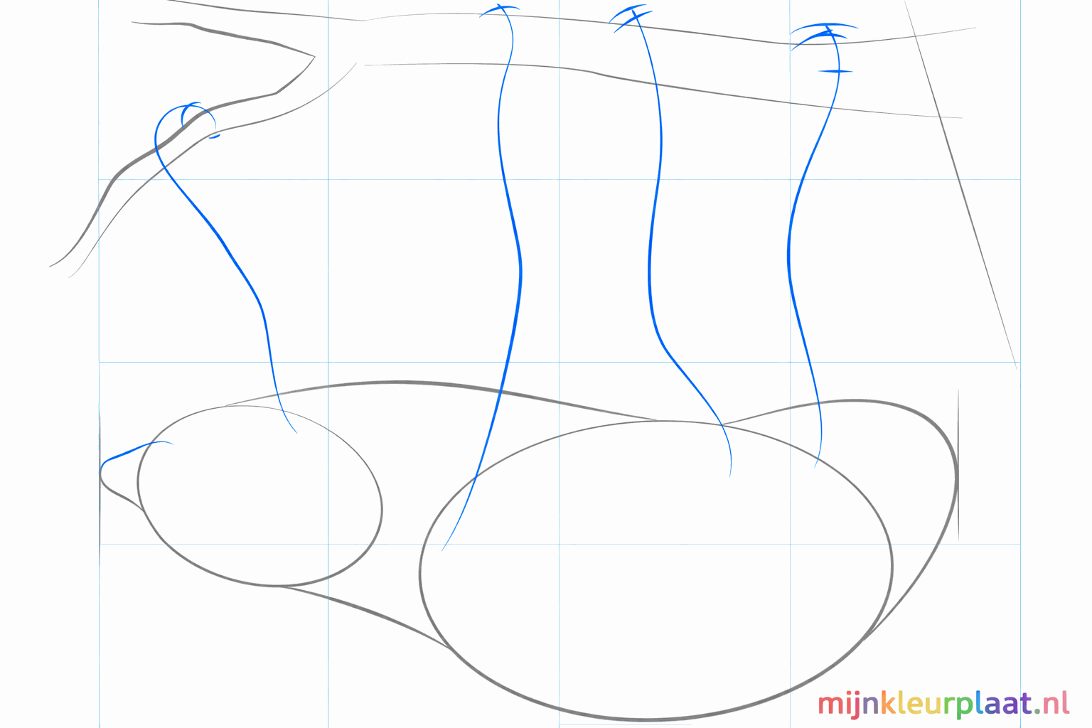 Hulplijnen voor de poten van de luiaard en een klein rondje voor de snuit.
