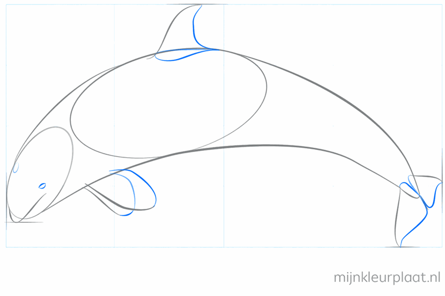 Hulplijnen voor de vinnen aan de bovenkant en zijkant van de walvis.