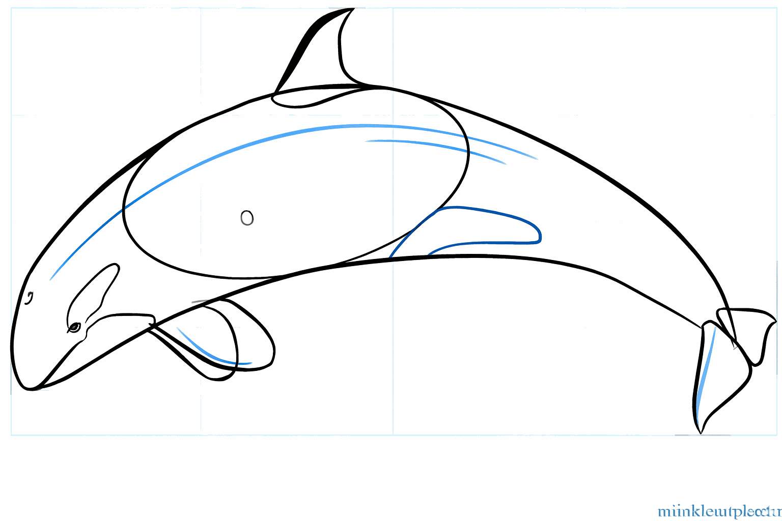 Rondere vormen voor de vinnen en details zoals het oog van de orka.