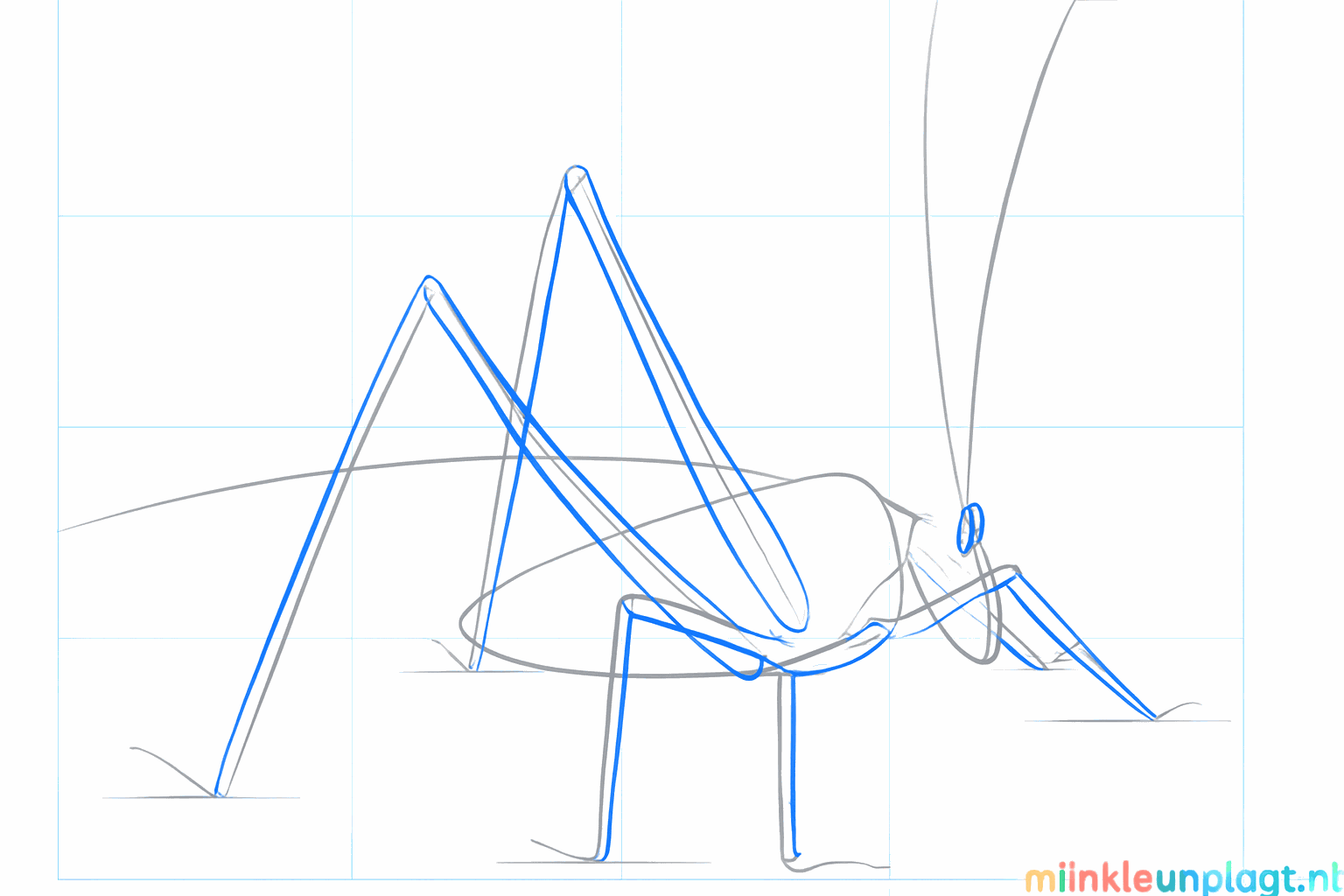 Dikkere voelsprieten en de aanzet van de kleine voorpoten.