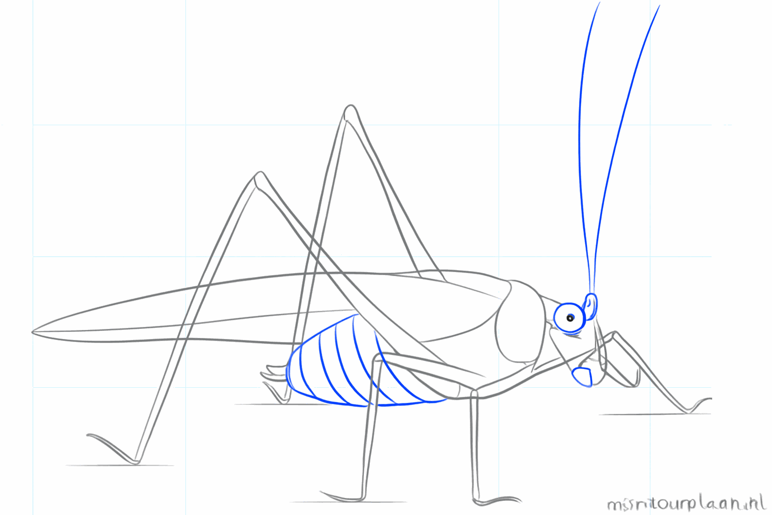 Detail van het oog en de mond op de kop van de sprinkhaan.