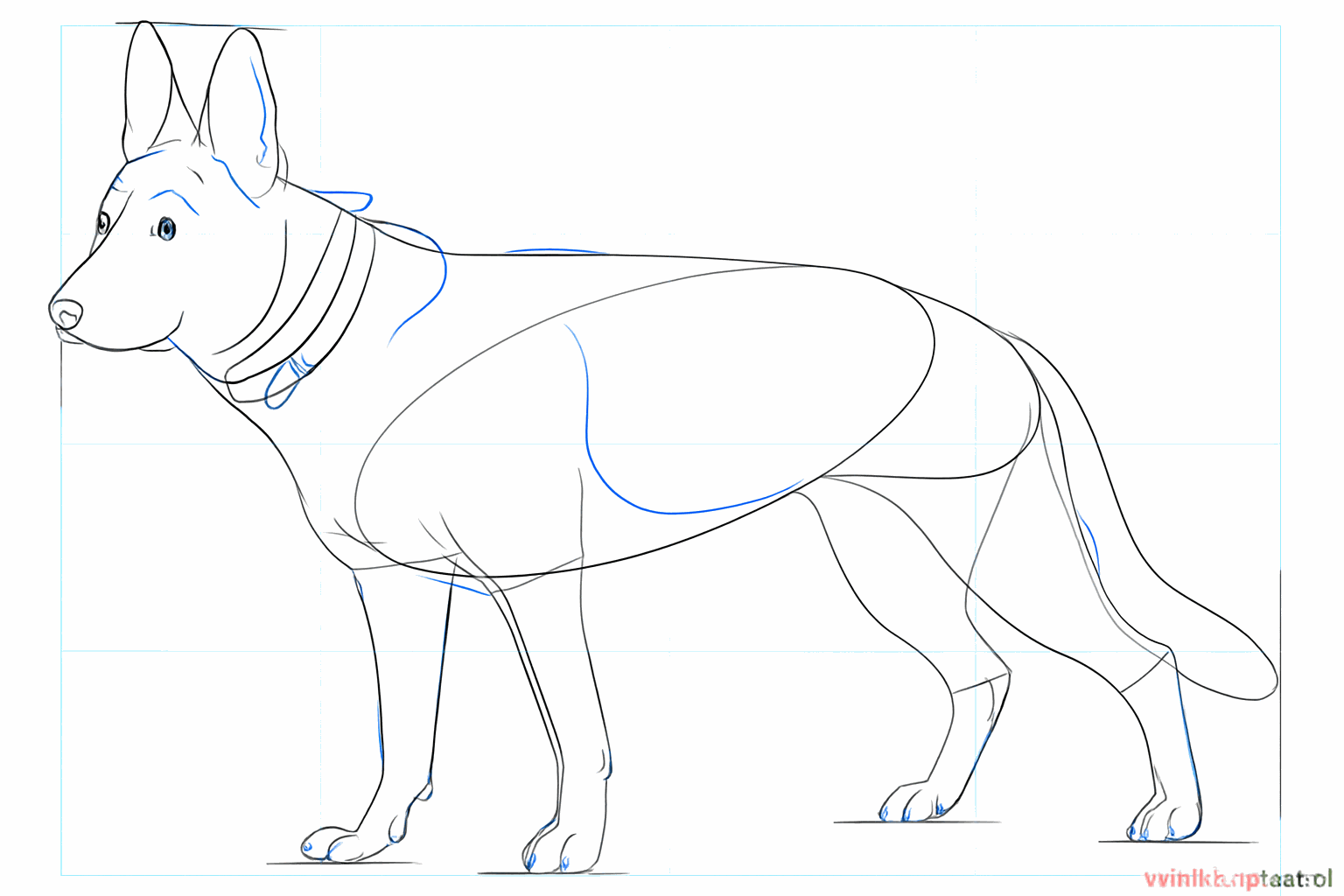 Details van de gewrichten in de poten en kleine streepjes voor de tenen.