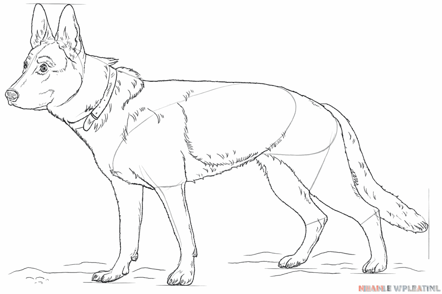 Harige lijnen langs de randen van de hond en een getekende mond.