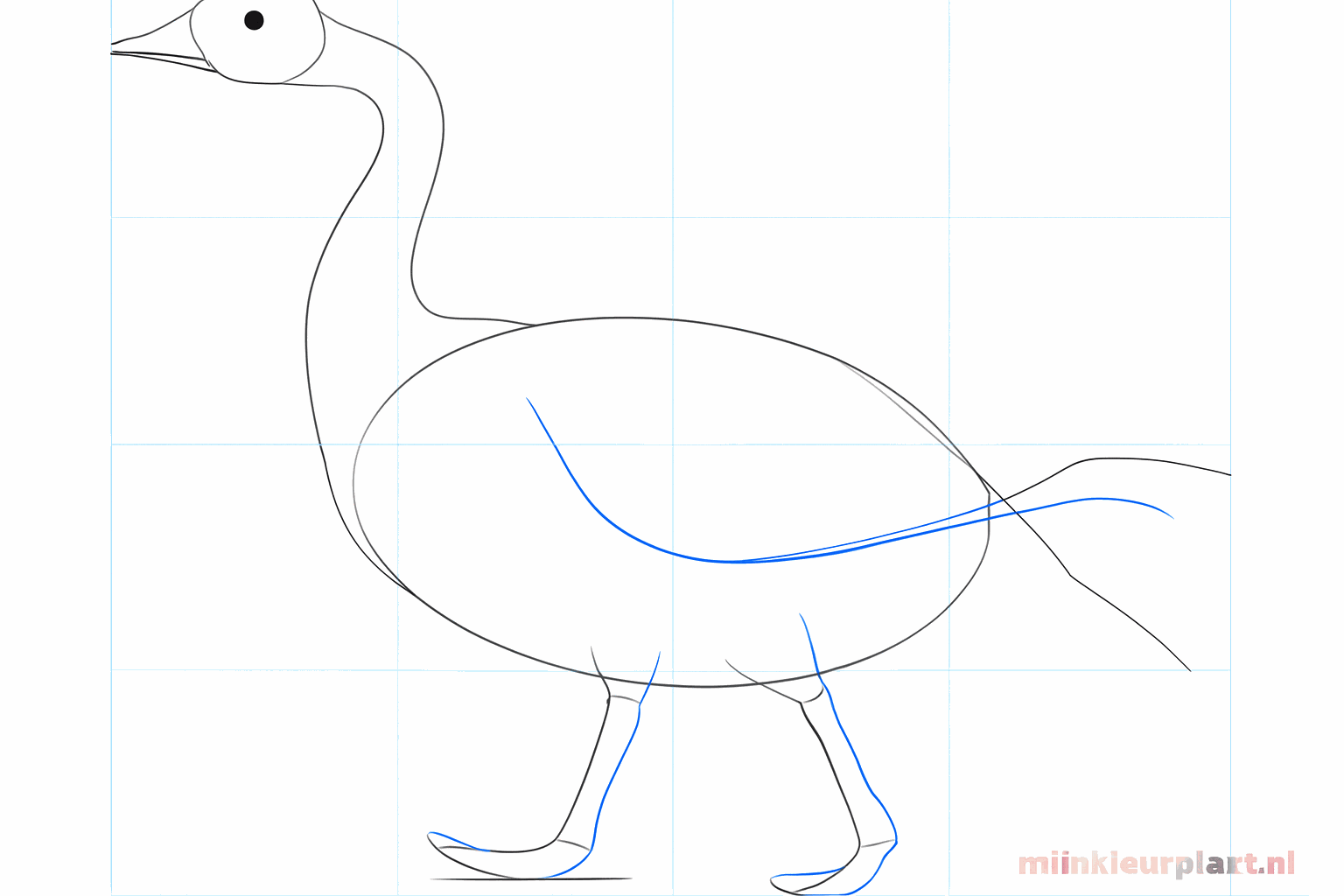 Draw two vertical lines under the body as guide lines for the goose legs.