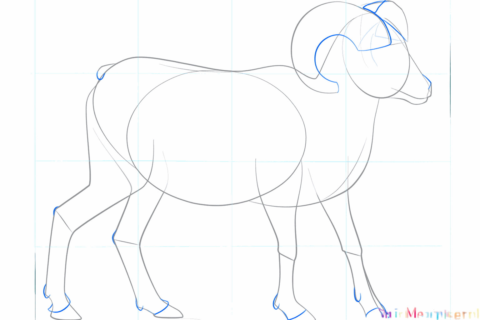 Dikkere poten en grote gekrulde vormen voor de hoorns.