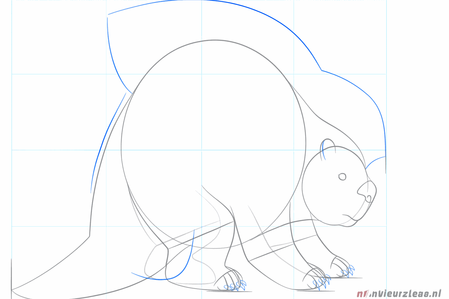 Details zoals teentjes en de eerste stekelige haren op de rug.