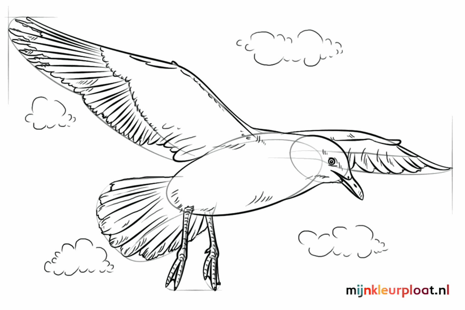 Details of feathers on the wings and small claws on the legs.