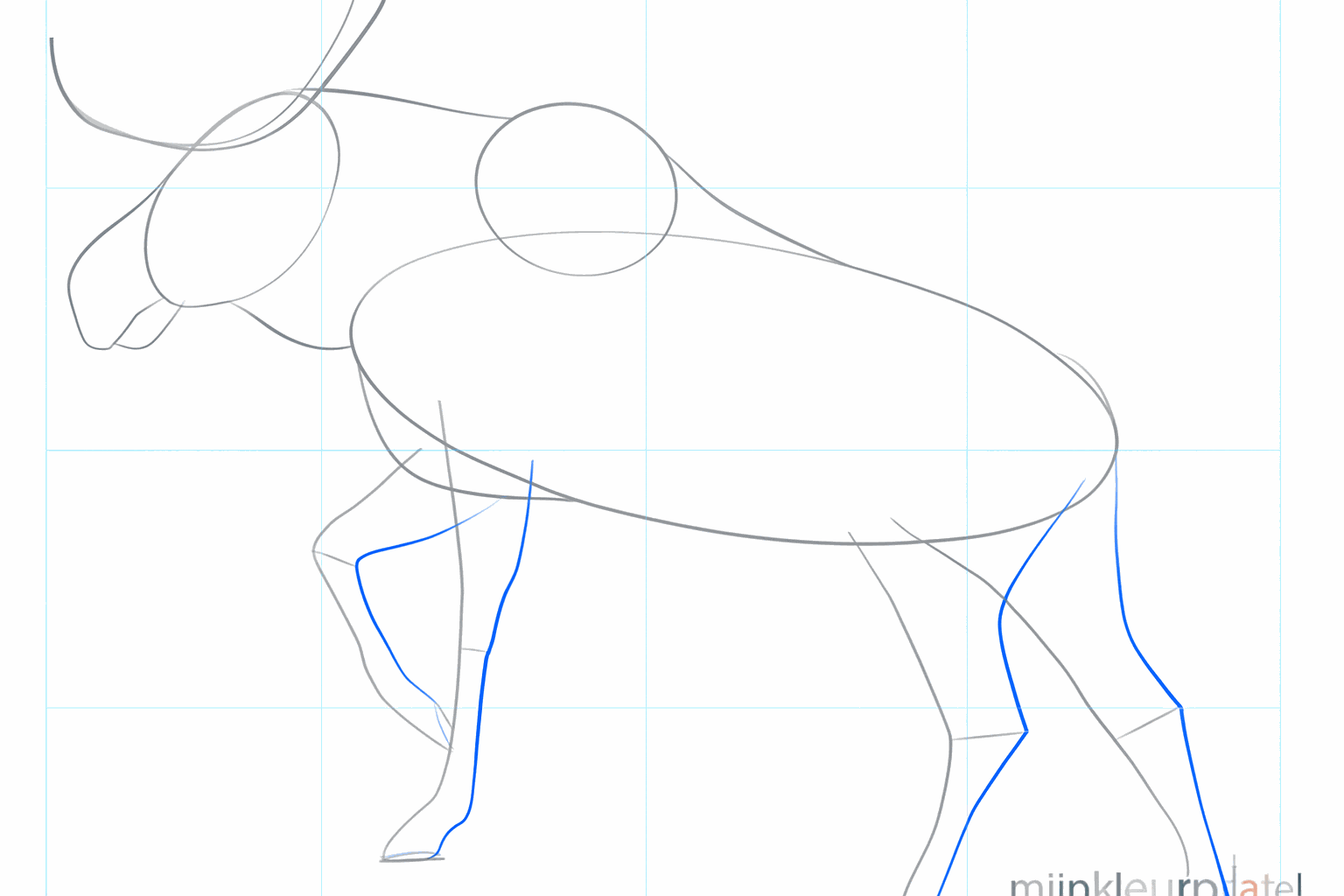 Teken de dikte van de poten, de snuit en de oren.