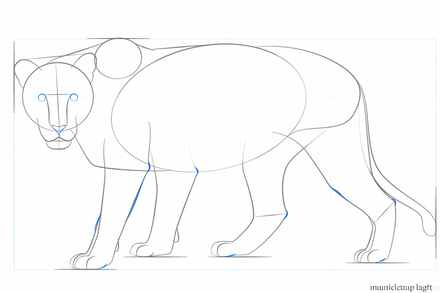 Details van de snuit en de grote voeten van de leeuwin.