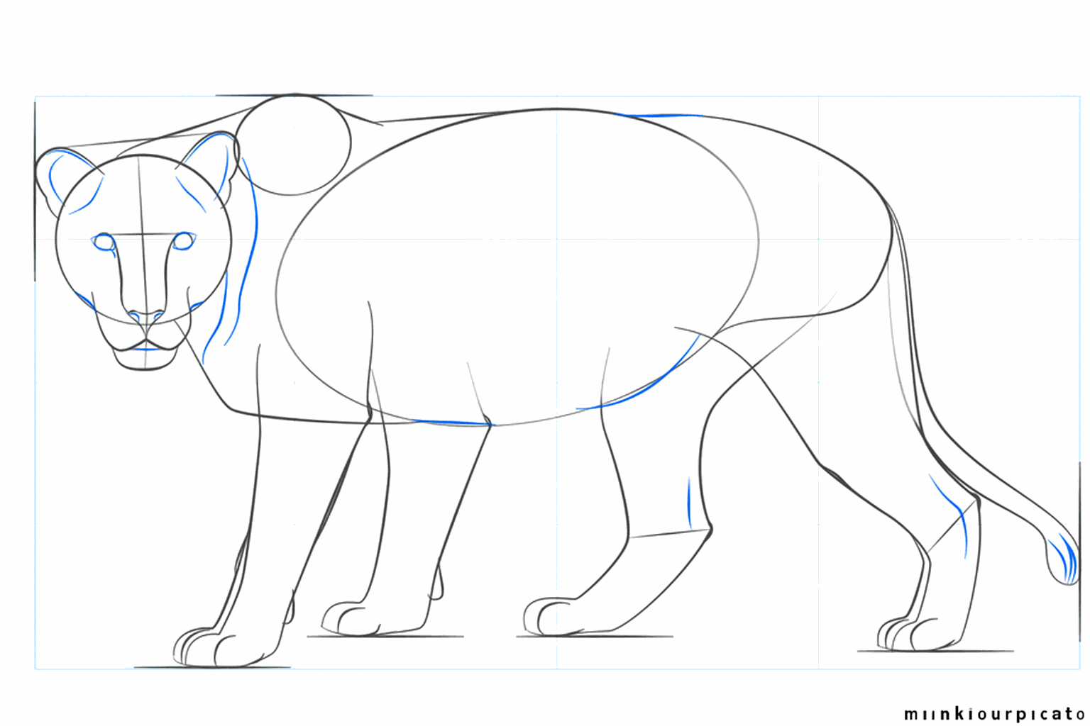 De ogen van de leeuwin en kleine streepjes voor de tenen.