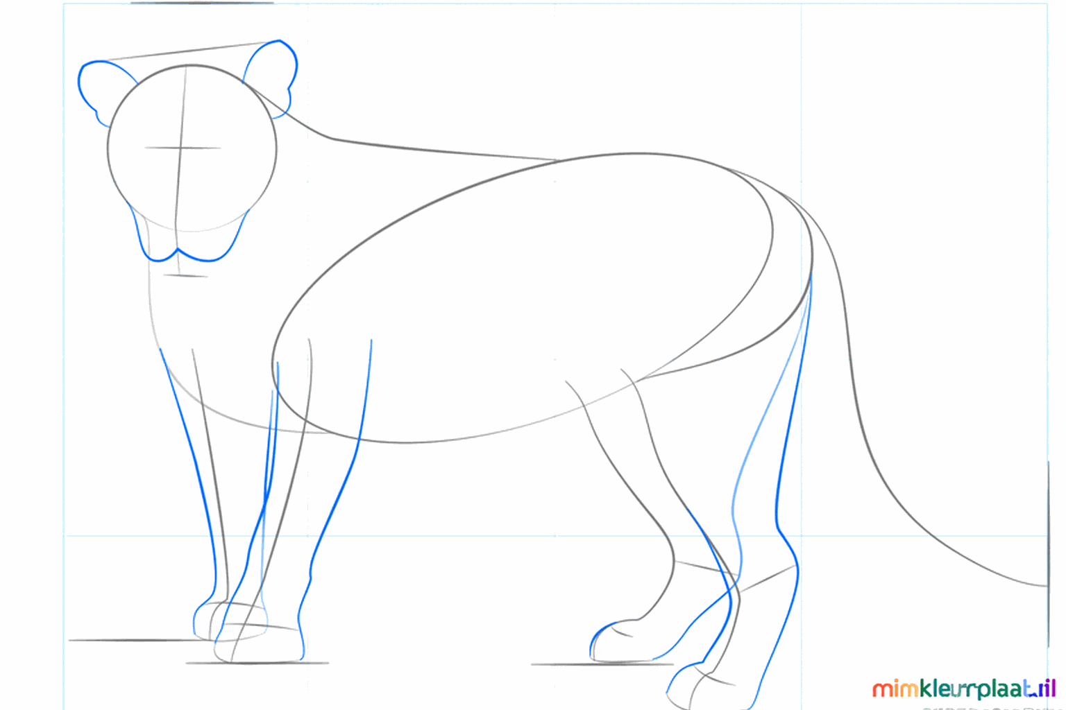 Dikke poten en ronde oren toevoegen aan de leeuw.