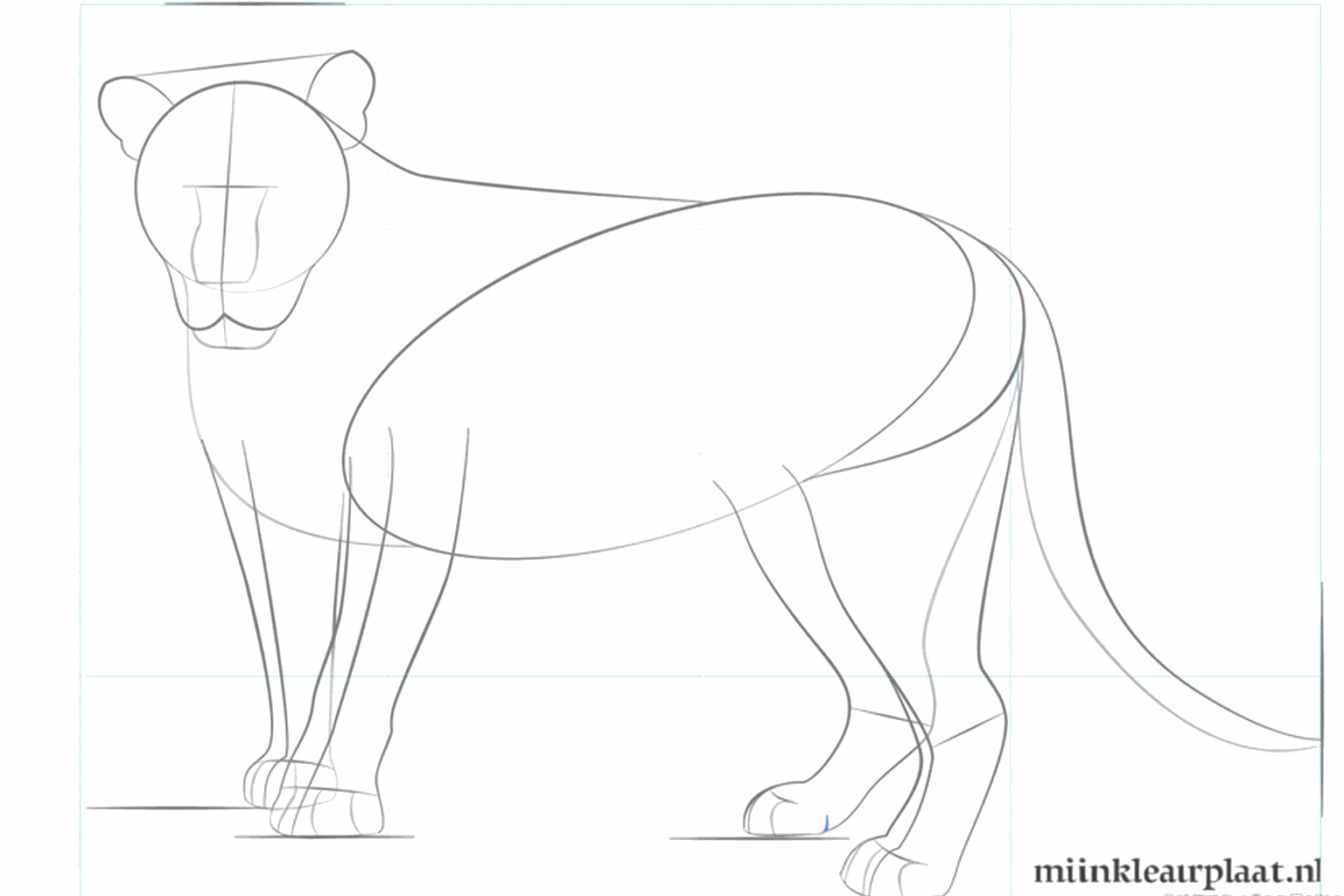 De snuit en de onderkant van de poten tekenen.