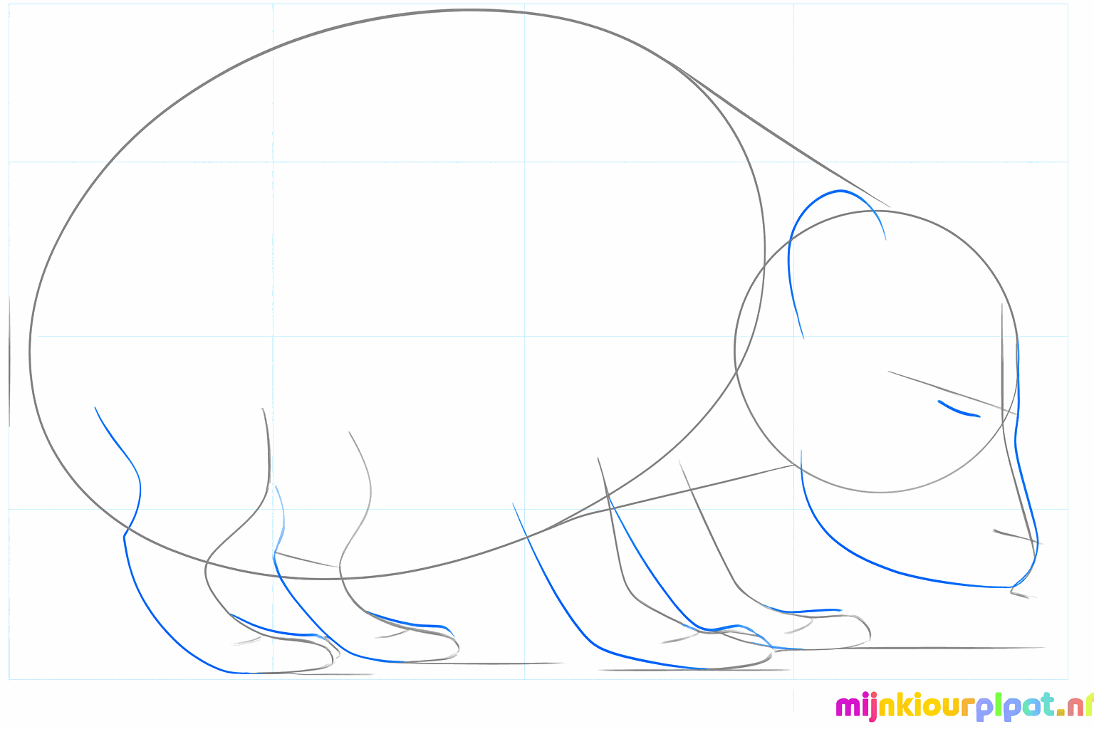 Een egel met een puntige neus en een klein rond oor.