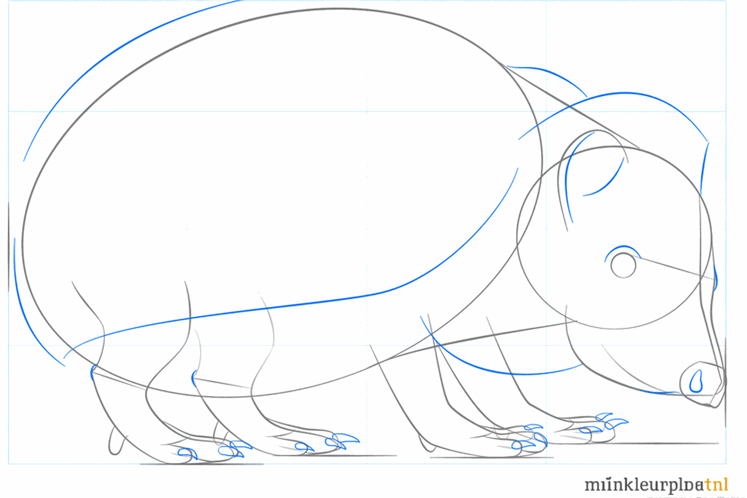 Detail van het oogje en de kleine voetjes van de egel.