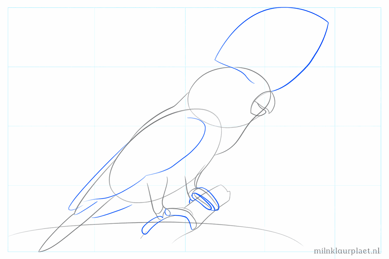 The wing, toes on the branch, and the first lines of the crest on top of the head.