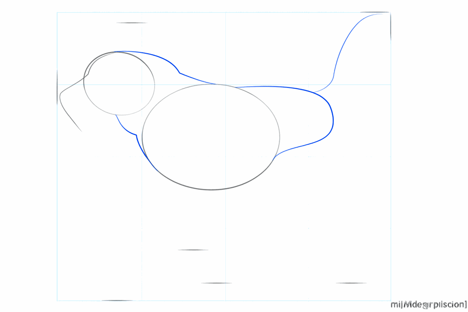 Hulplijnen die de kop met het lichaam verbinden en een lange lijn voor de staart aan de achterkant.