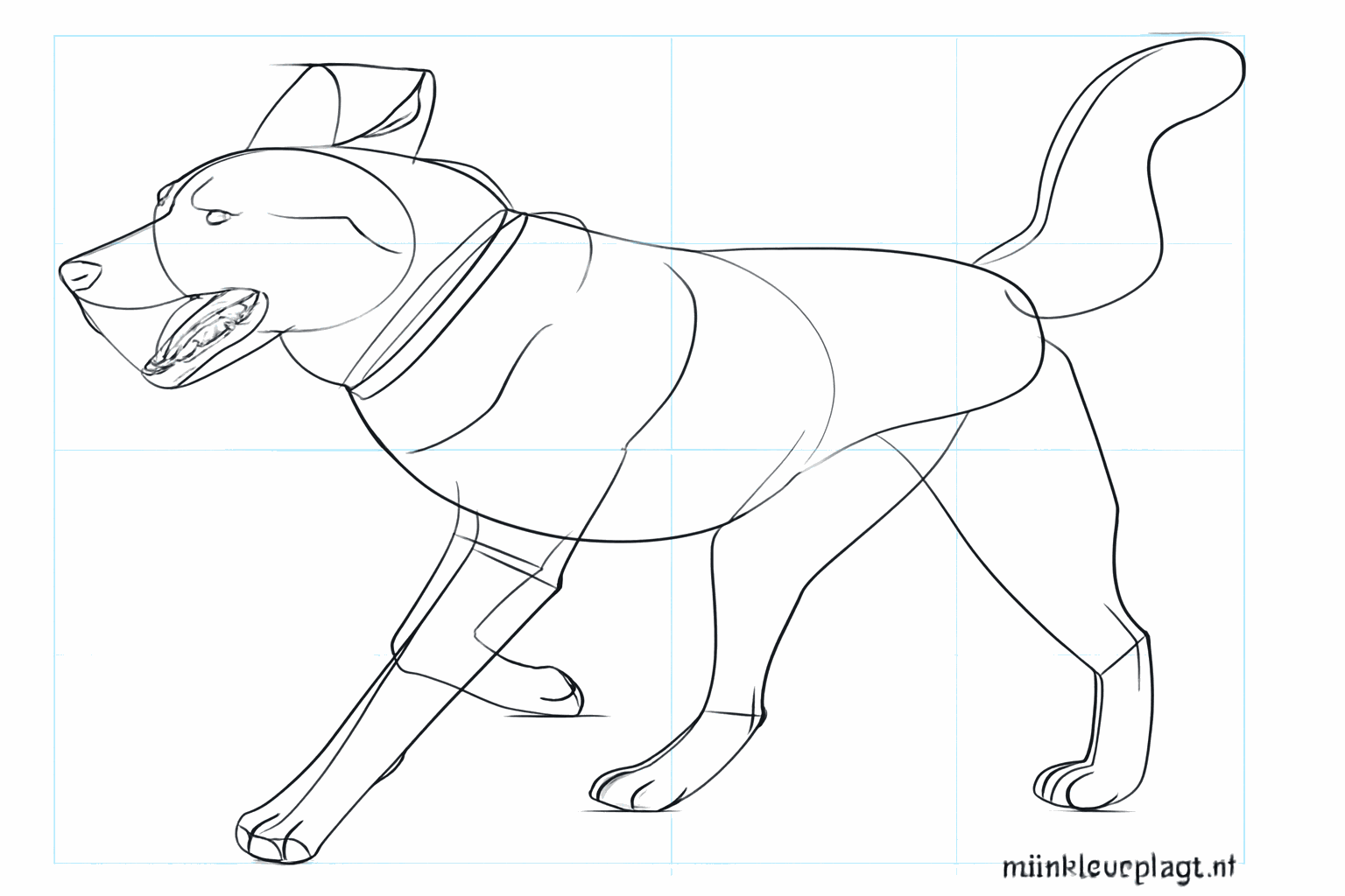 Close-up van de kop met ogen, neus en een uitgestoken tongetje.