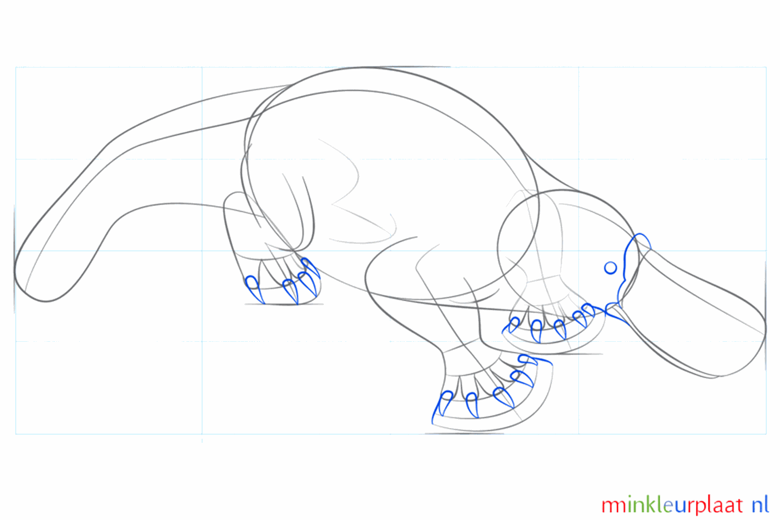 Details van de tenen en de definitieve vorm van de vogelbek.