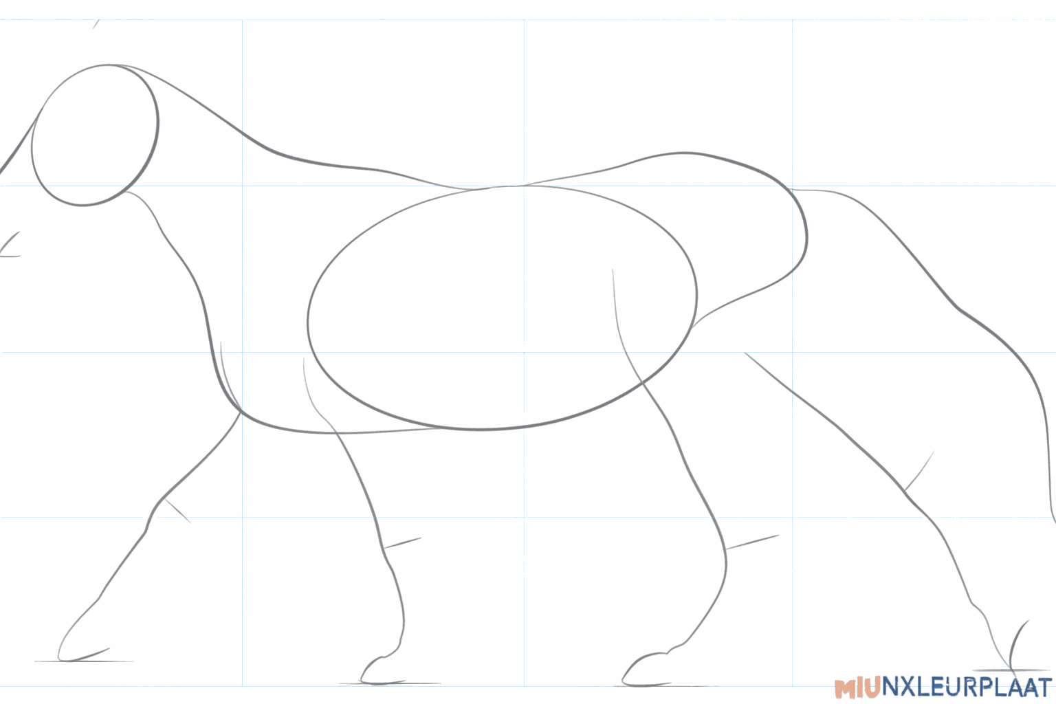 Hulplijnen voor de benen en de oren van het rennende paard.