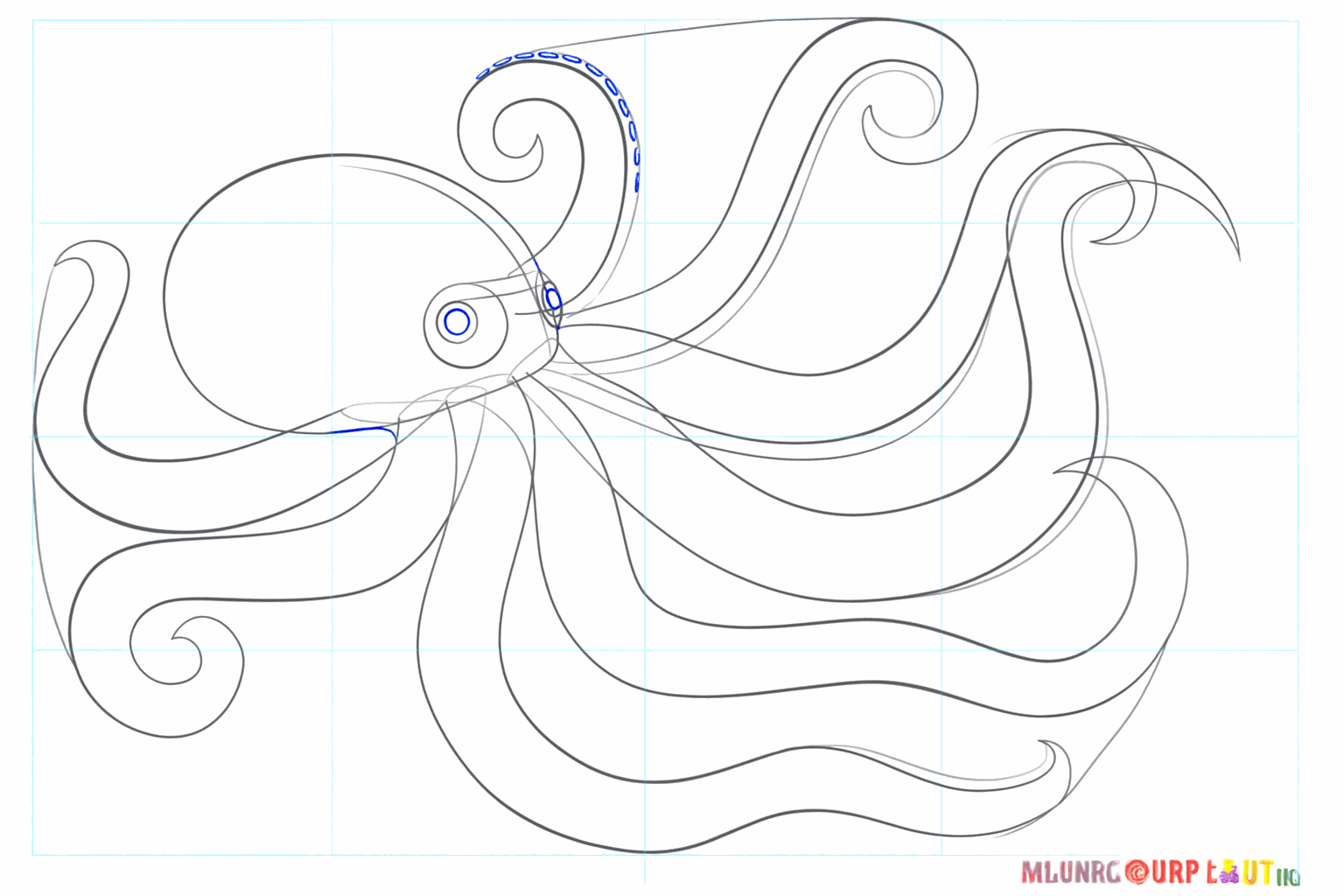 Kleine cirkeltjes als zuignappen op de achterste armen van de octopus.