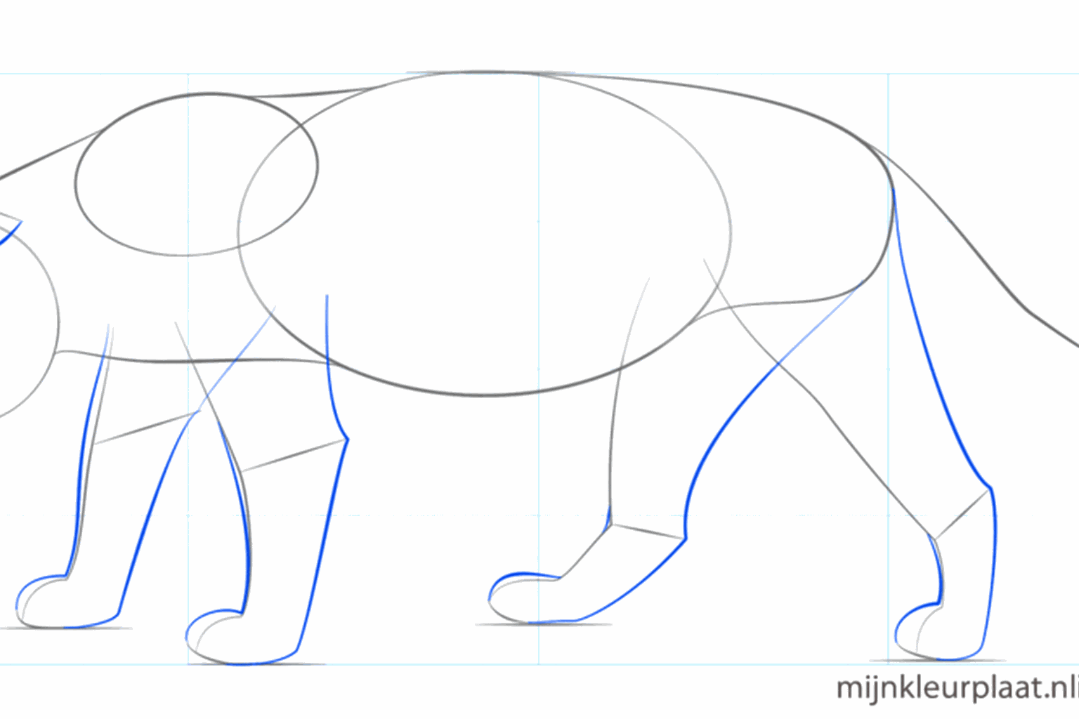 Teken dikke poten en driehoekige oortjes op de kop.