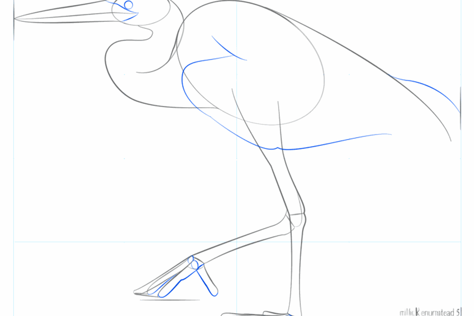 Detail of the head with an eye and a sharp beak.