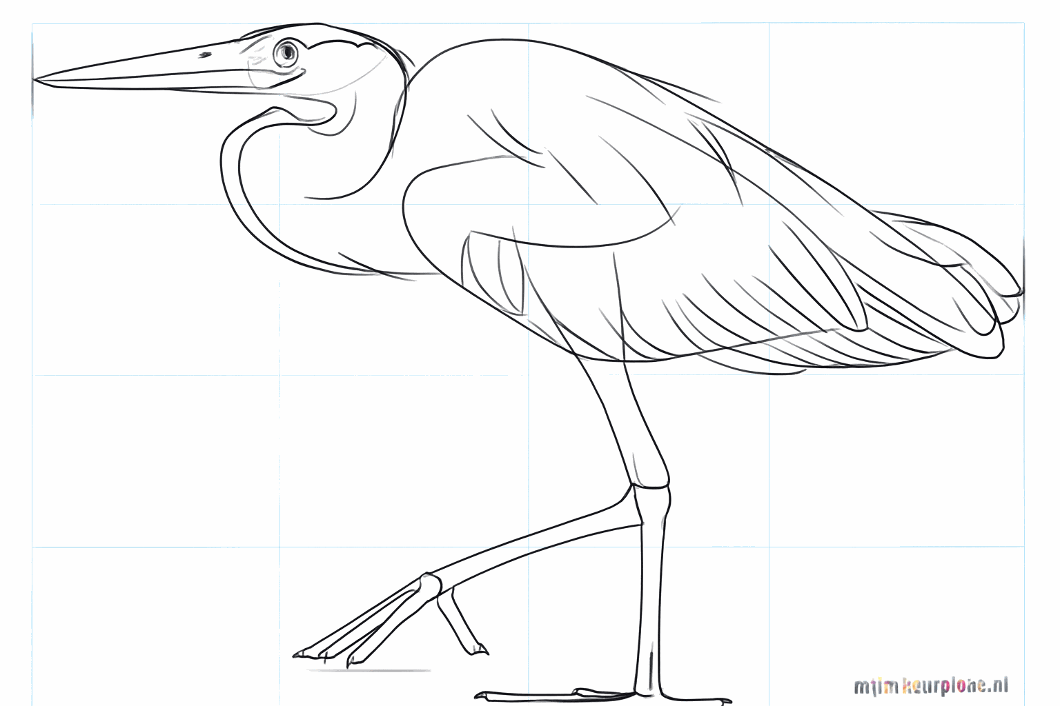 Details of the tail feathers and the joints in the legs.